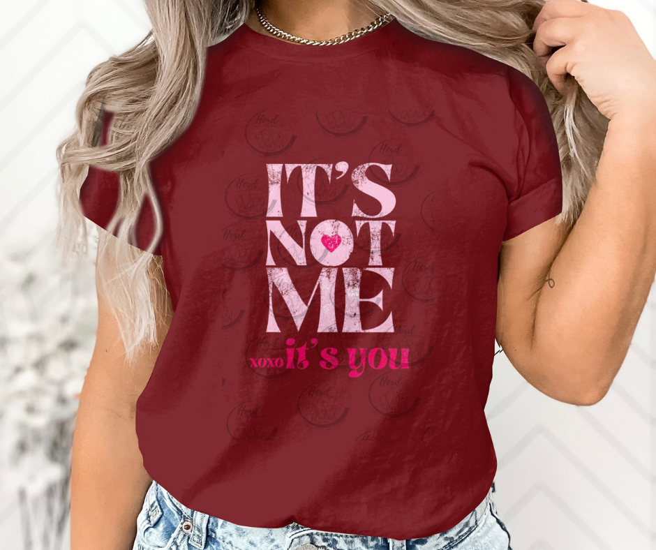 It's Not Me, It's You - DTF (Direct to Film)