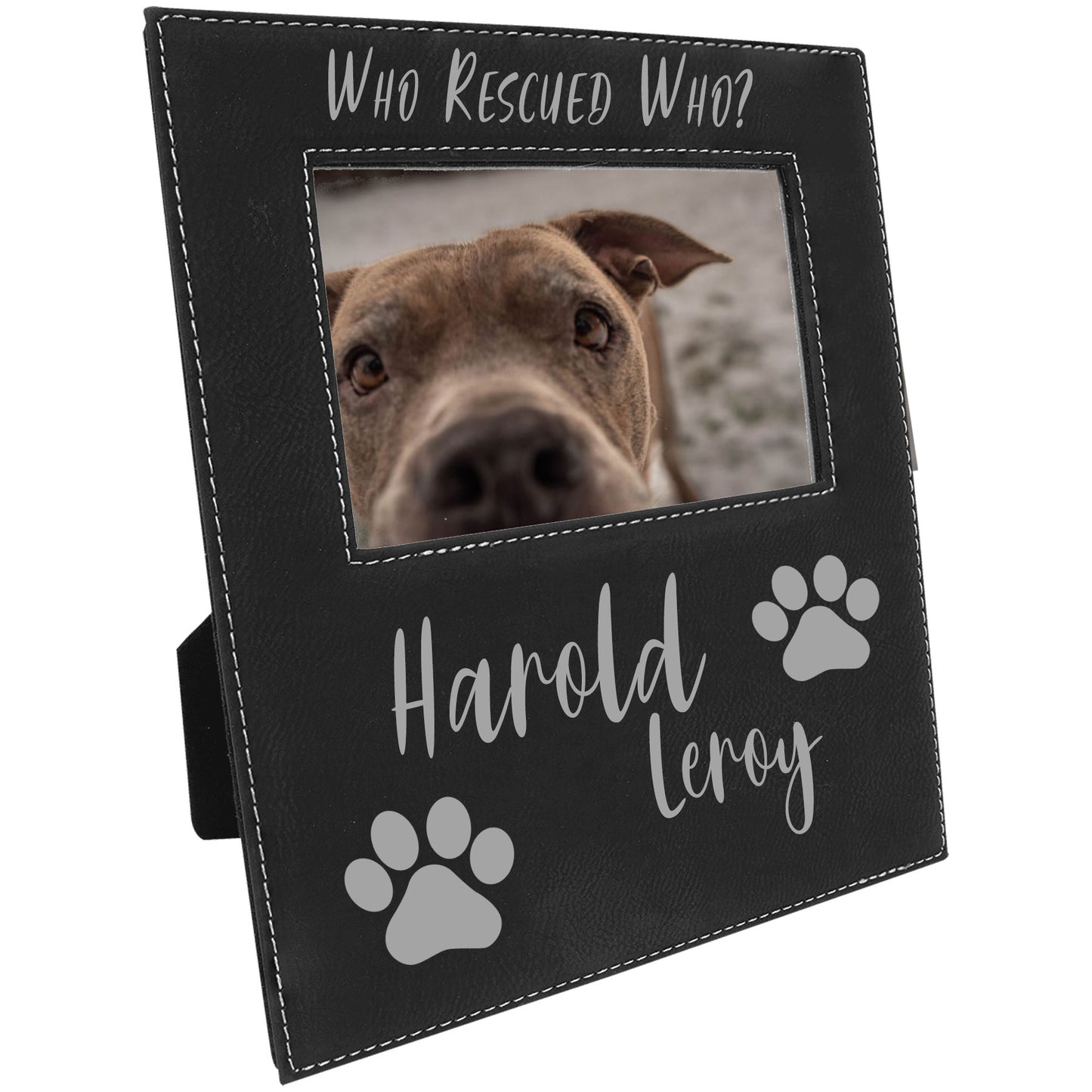 Pet Frames